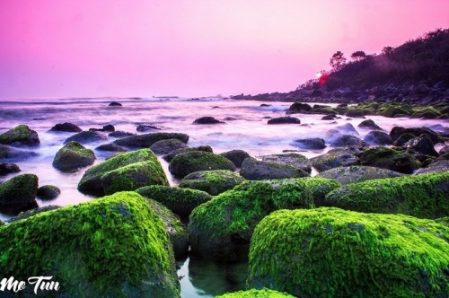 Bãi đá đẹp huyền ảo ở bãi Nam Ô.