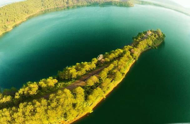 Hoa dã quỳ ở Biển Hồ