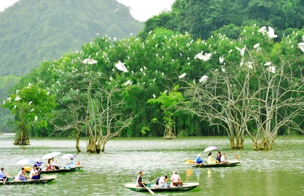 vuon chim thung nham