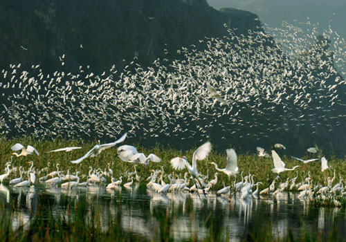 du lịch Ninh Bình