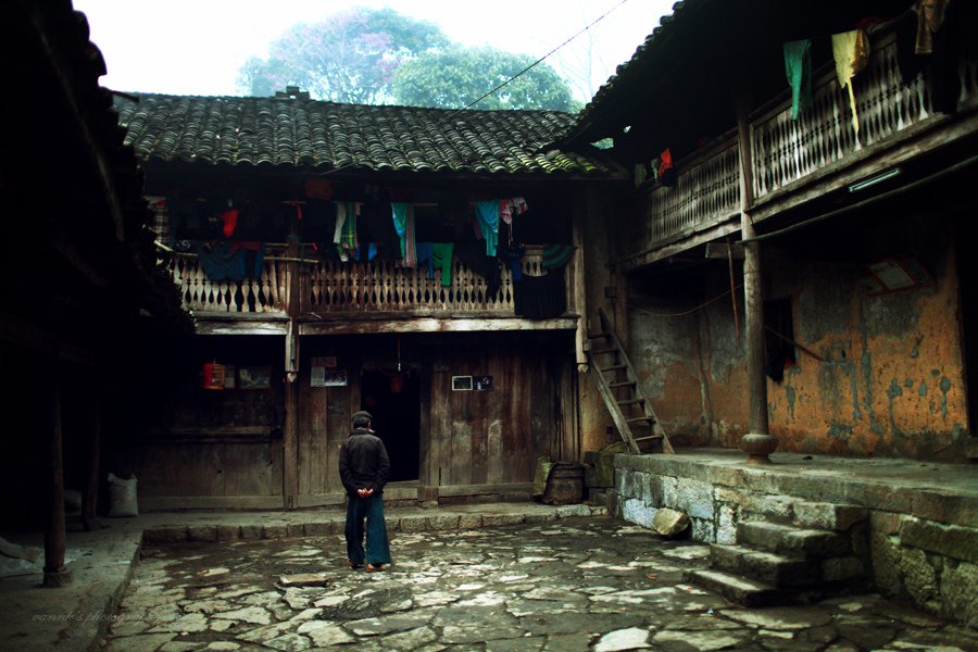 du lịch hoa tam giác mạch Hà Giang