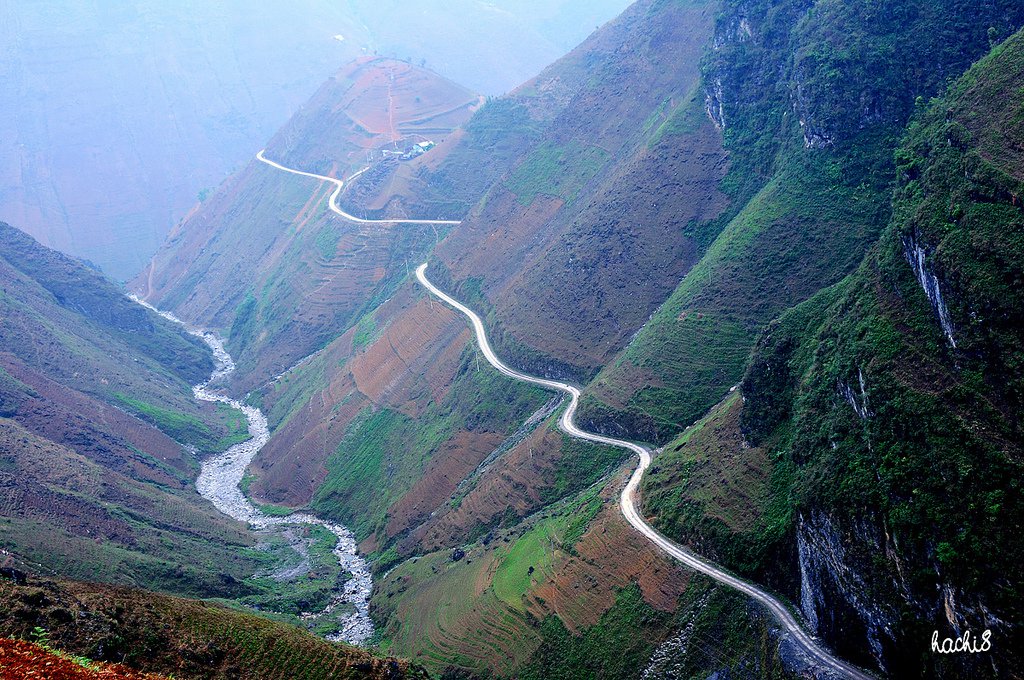 du lịch hoa tam giác mạch Hà Giang