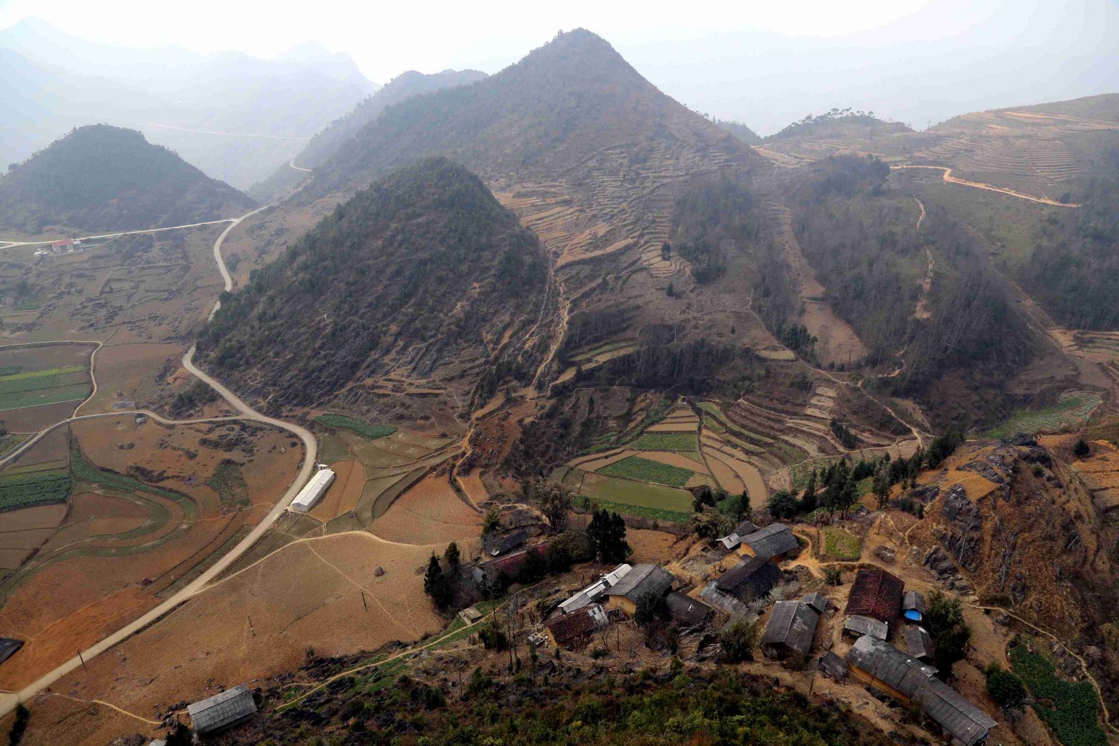 du lịch hoa tam giác mạch Hà Giang