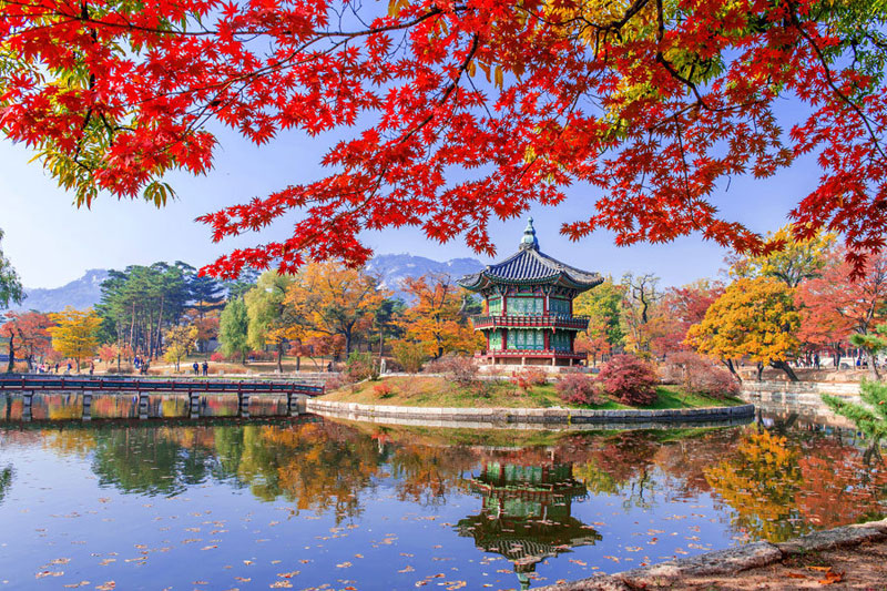Khám phá du lịch Hàn Quốc mùa thu 2018 - Cẩm nang Du lịch Trong nước