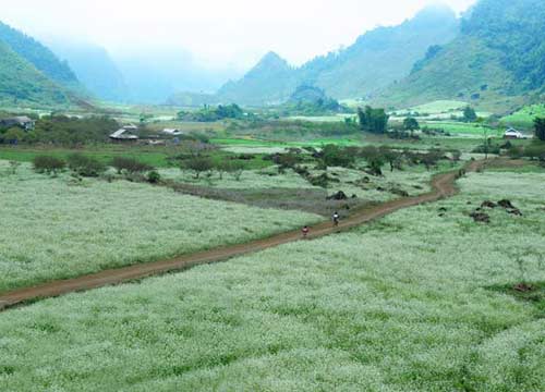 Tour Du Lịch Hà Nội - Mai Châu