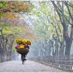 Du lịch Hà Nội vào mùa thu, bạn đừng quên ghé đường Kim Mã ngập lá vàng rơi. Ảnh: Ngô Dung