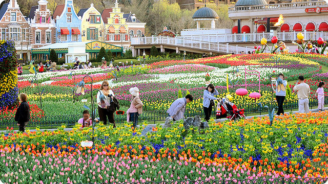 Khám phá Công viên Everland lớn nhất ở Hàn Quốc - Cẩm nang Du lịch Trong  nước