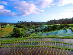  Những chuyến bay tốn ít thời gian nhất  trên Thế Giới 