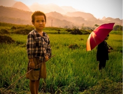 Vẻ đẹp bình dị của Việt Nam qua con mắt du khách nước ngoài