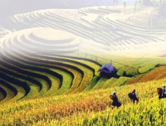 Huyện Mù Cang Chải phát hiện bãi đá cổ