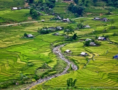 Kinh nghiệm đi du lịch Sapa