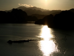 Cá nướng đêm Thung Nai