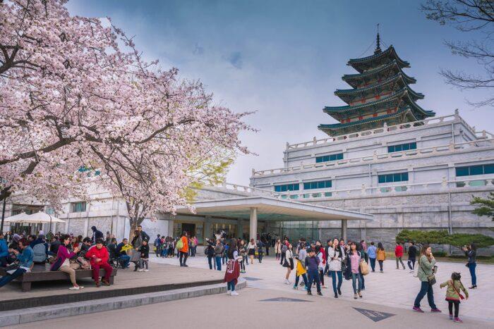 Du Lịch Hàn Quốc Mùa Giáng Sinh: Seoul  – Trượt Tuyết Elysian – Lotte World - Vườn Bách Thảo Seoul Botanic Park 5N4Đ