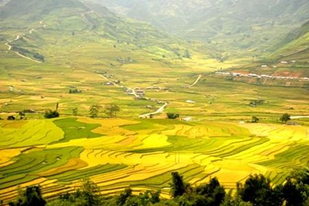 Tour du lịch Mù Cang Chải