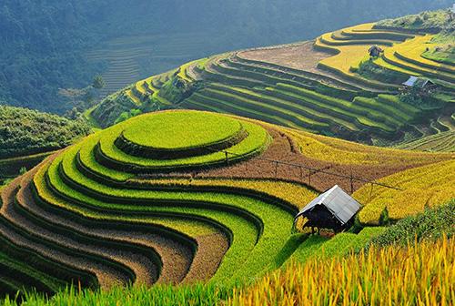 Tour du lịch Sapa