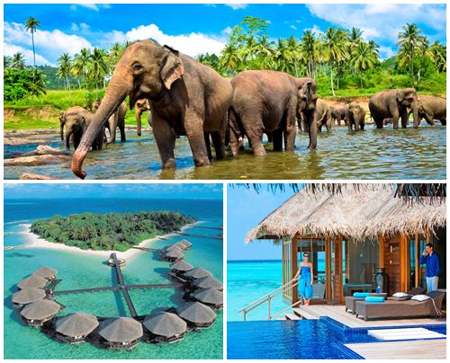 Tour du lịch Maldives - Srilanka