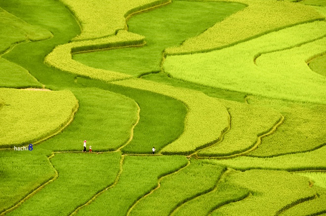 nụ cười trẻ em vùng cao