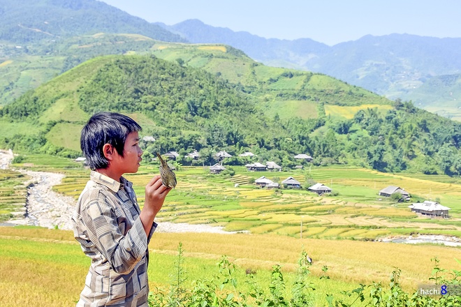 nụ cười trẻ em vùng cao