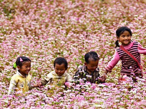 Tam gi&aacute;c mạch BH