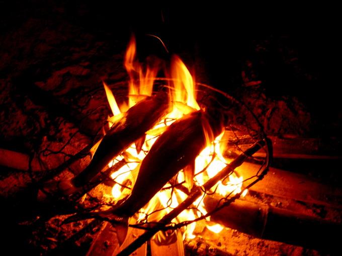 C&aacute; Nướng Đ&ecirc;m Thung Nai - H&ograve;a B&igrave;nh