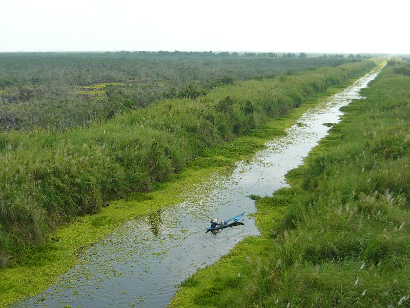 Vườn Quốc Gia: U Minh Thượng