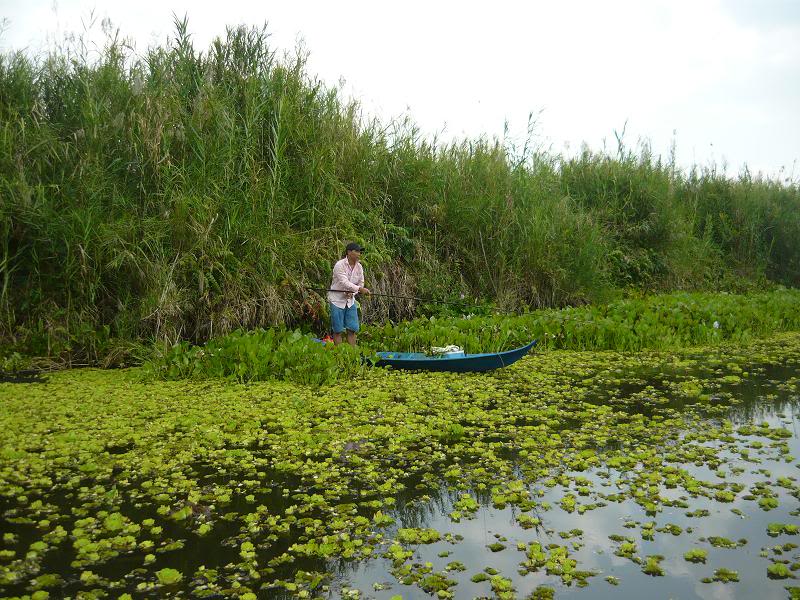 Câu cá tại U Minh Thượng
