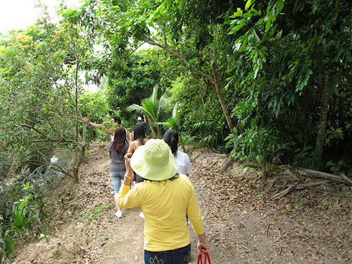 Tour du lịch Bến Tre