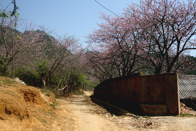 Du lịch Mộc Châu