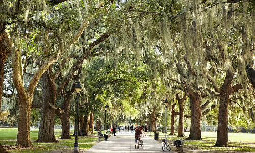 Khung cảnh ở Savannah l&atilde;ng mạn như trong phim