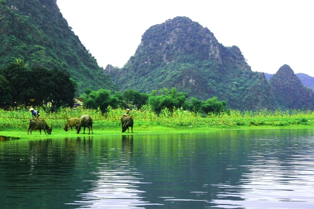 khu sinh thái Phong Nha Kẻ Bàng